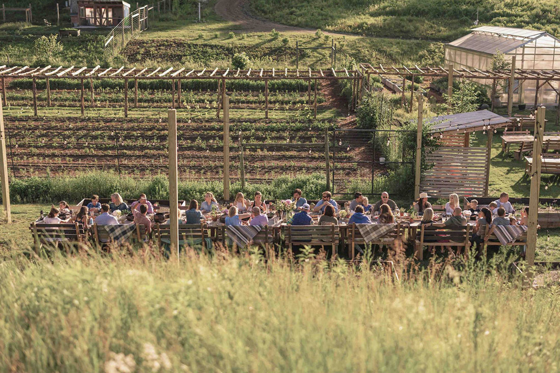 dev-the-farm-2