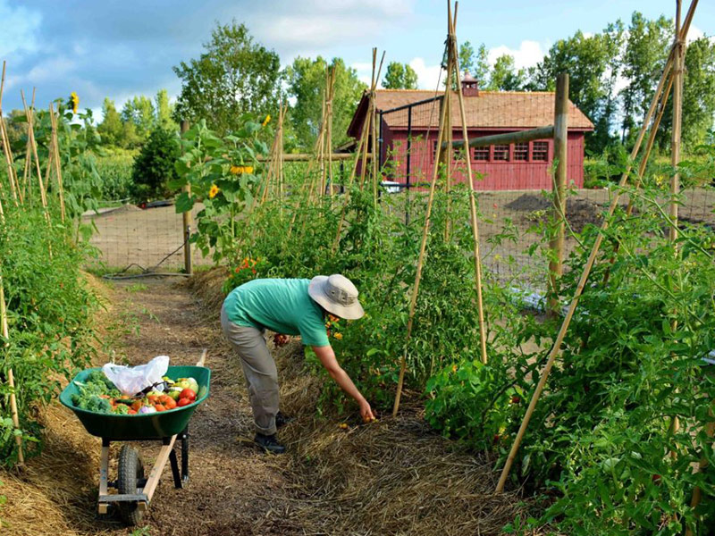 home-communities-the-farm-3